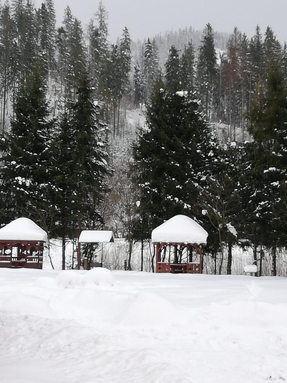 Кукулька міні-готель Славское Экстерьер фото